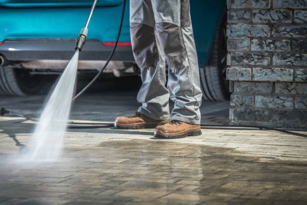 Best House Exterior Washing  in Marine City, MI