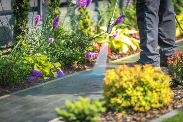 Reliable Marine City, MI  Pressure Washing Services Solutions