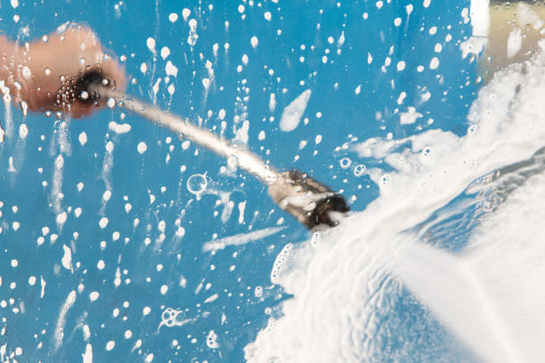 Best Animal Enclosure Cleaning  in Marine City, MI