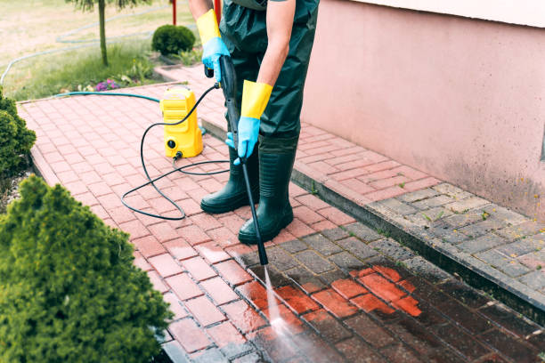 Best Playground Equipment Cleaning  in Marine City, MI