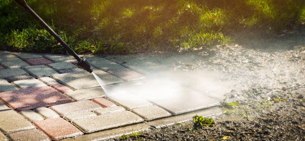 Best Dumpster Area Cleaning  in Marine City, MI