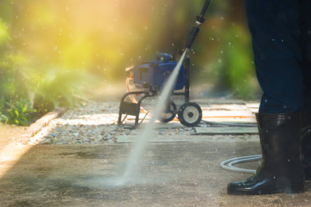 Best Solar Panel Cleaning  in Marine City, MI